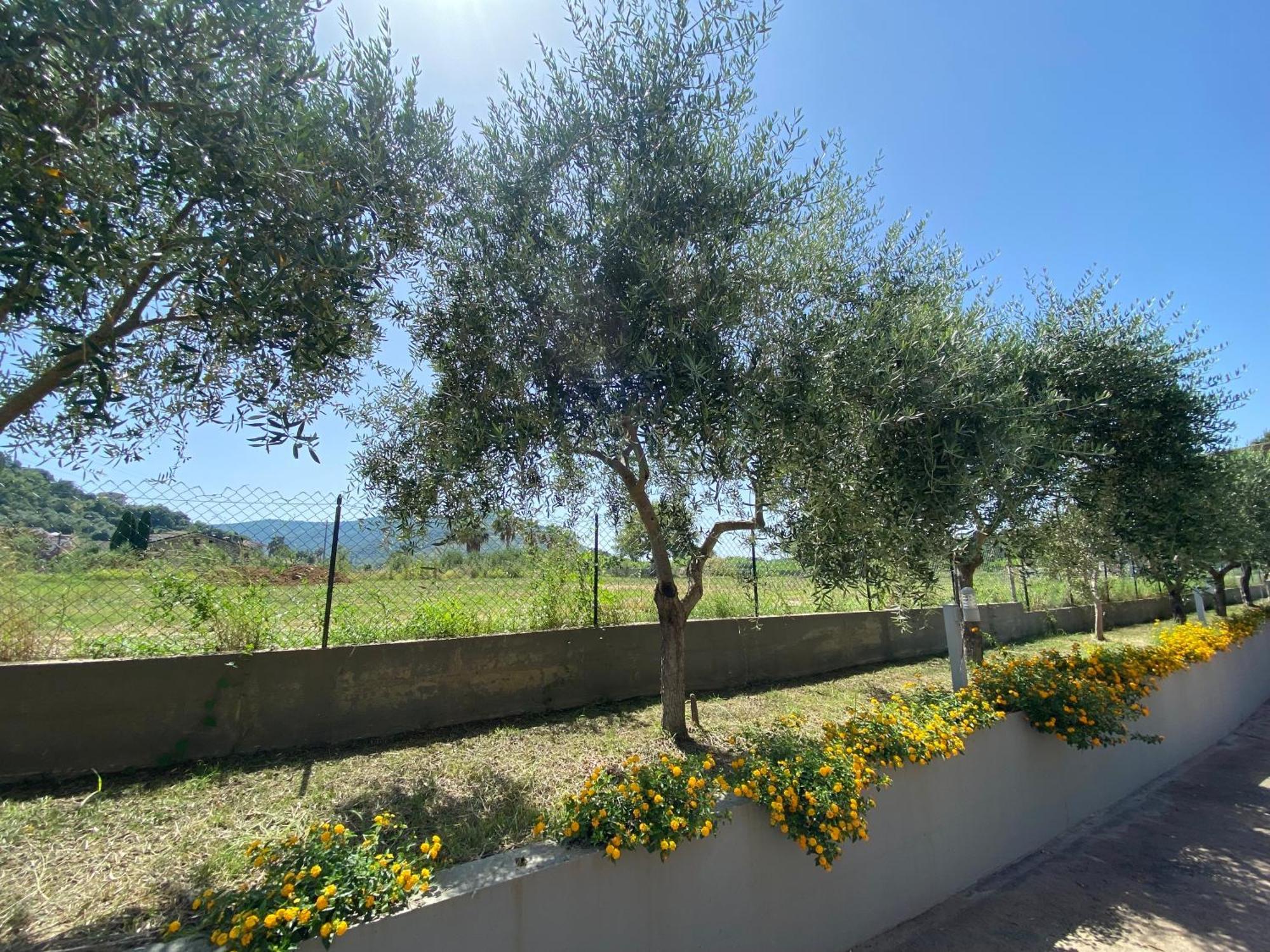 Miro' Agropoli Bed & Breakfast ภายนอก รูปภาพ