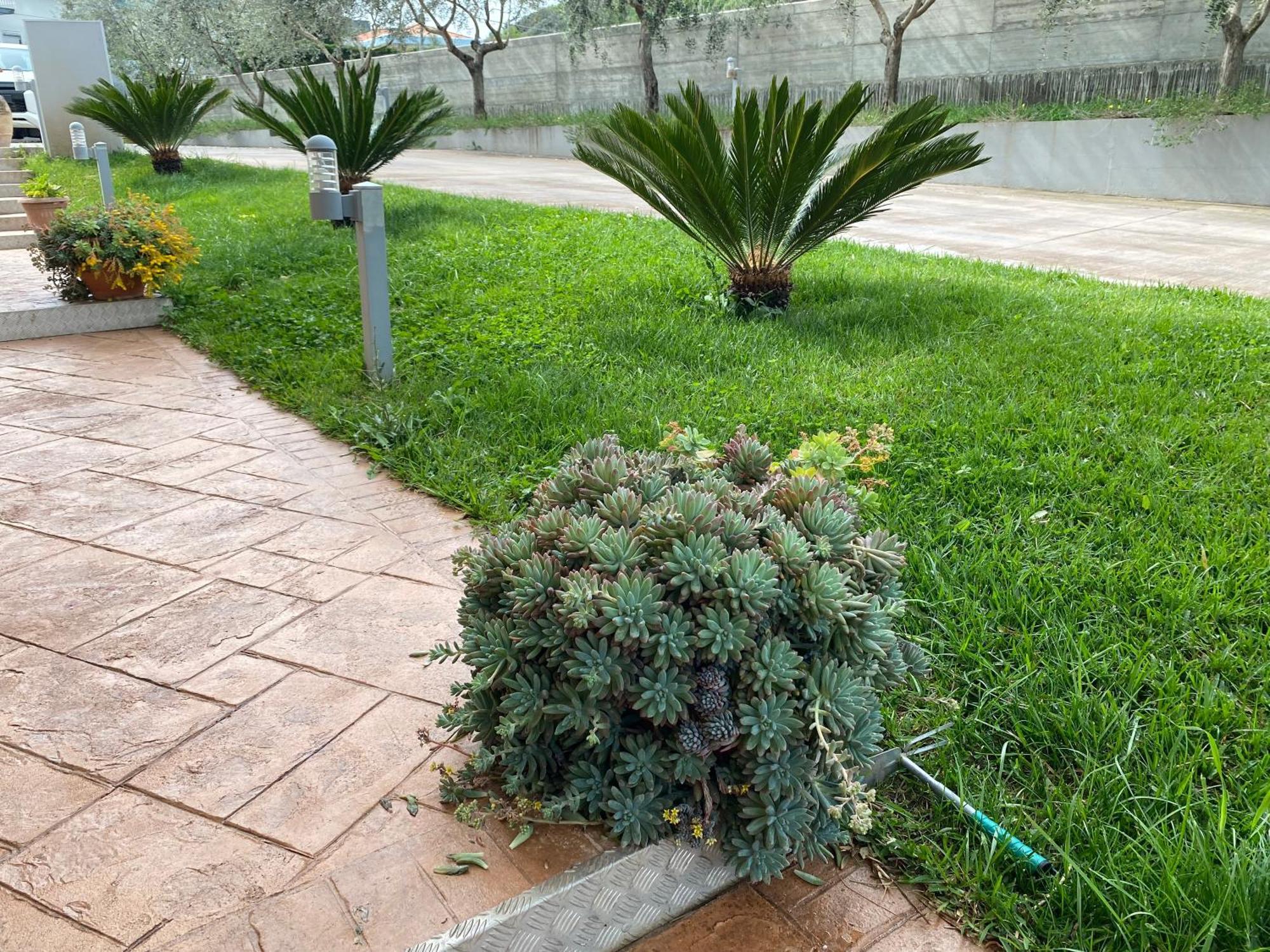 Miro' Agropoli Bed & Breakfast ภายนอก รูปภาพ