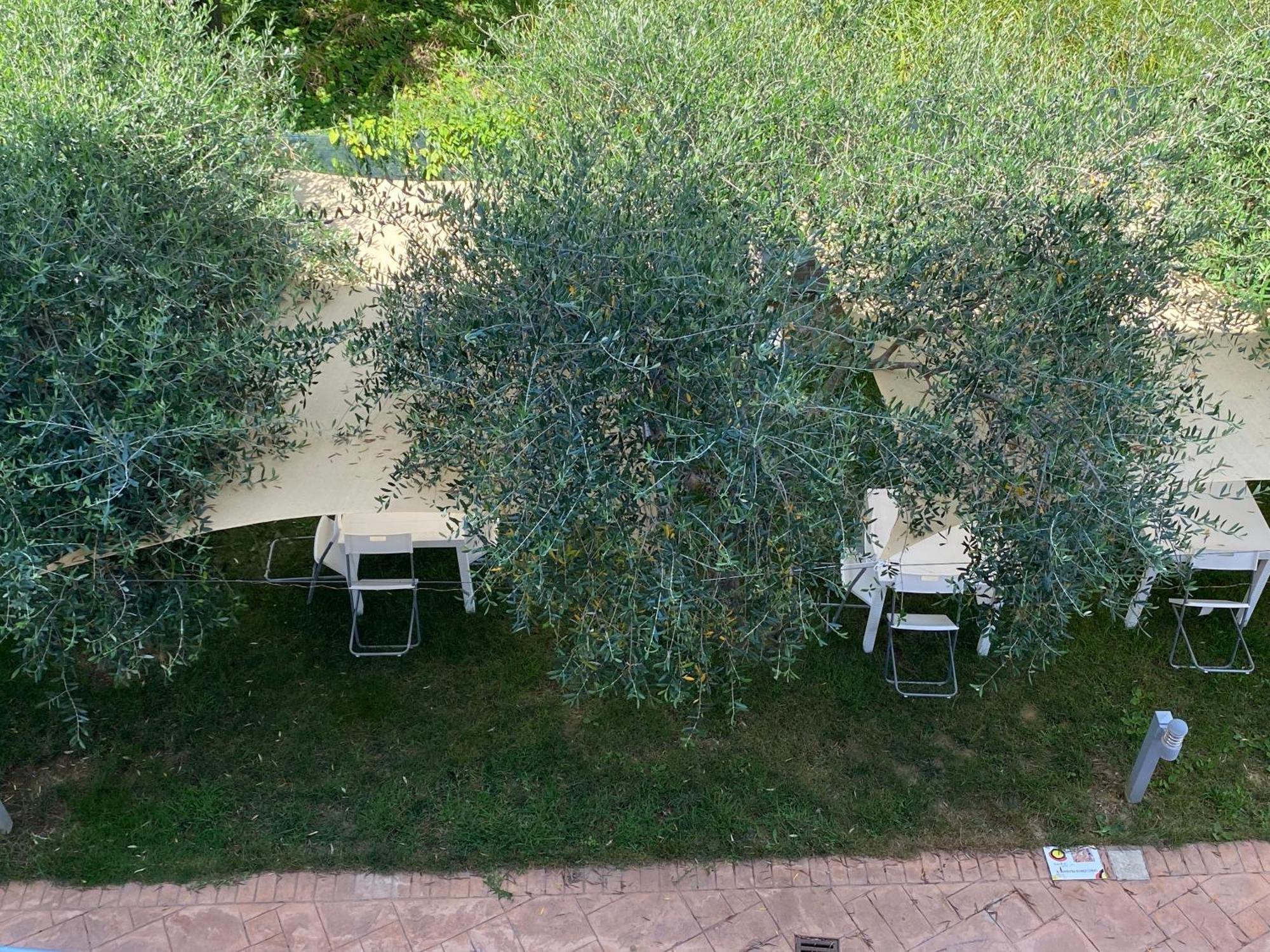 Miro' Agropoli Bed & Breakfast ภายนอก รูปภาพ